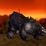 Black War Bear Mount