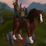 Broken Highland Mustang Mount