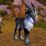 Reins of the Cobalt War Talbuk Mount