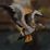 Gold-Toed Albatross Mount