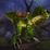 Green Primal Raptor Mount