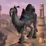 Grey Riding Camel Mount