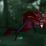 Red Riding Nether Ray Mount