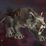 Sandy Nightsaber Mount