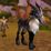 Reins of the Tan War Talbuk Mount
