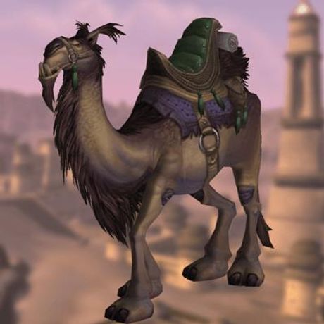 Reins of the Brown Riding Camel Mount