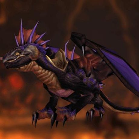 Reins of the Onyxian Drake Mount