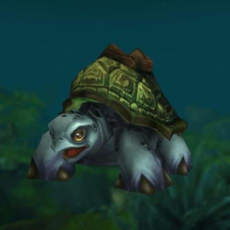 Sea Turtle Mount