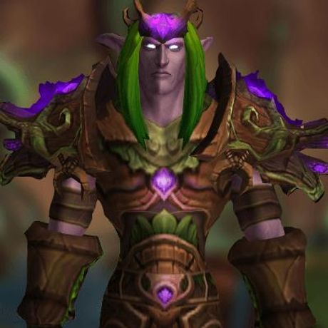 Druid Tier 5 Transmog Set - Nordrassil Raiment