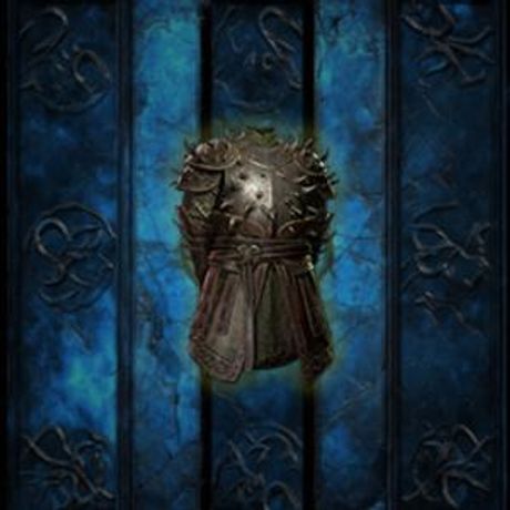 POE 2 BRAMBLEJACK BODY ARMOUR FOR SALE