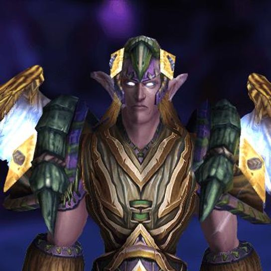 Druid Tier 11 Transmog Set - Stormrider's Vestments