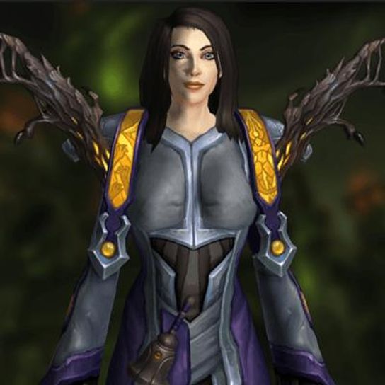 Priest Tier 18 Transmog Set - Attire of Piety