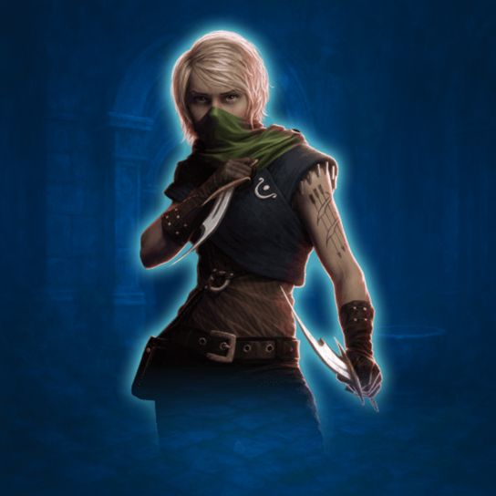 Rogue Endgame Build