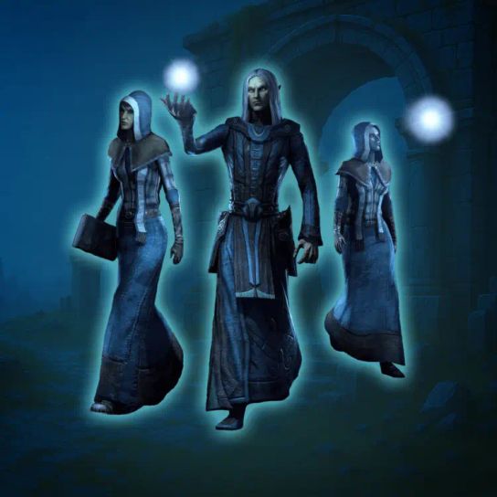 Mages Guild Leveling