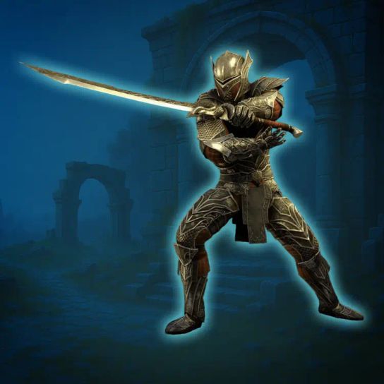 Fighters Guild Leveling