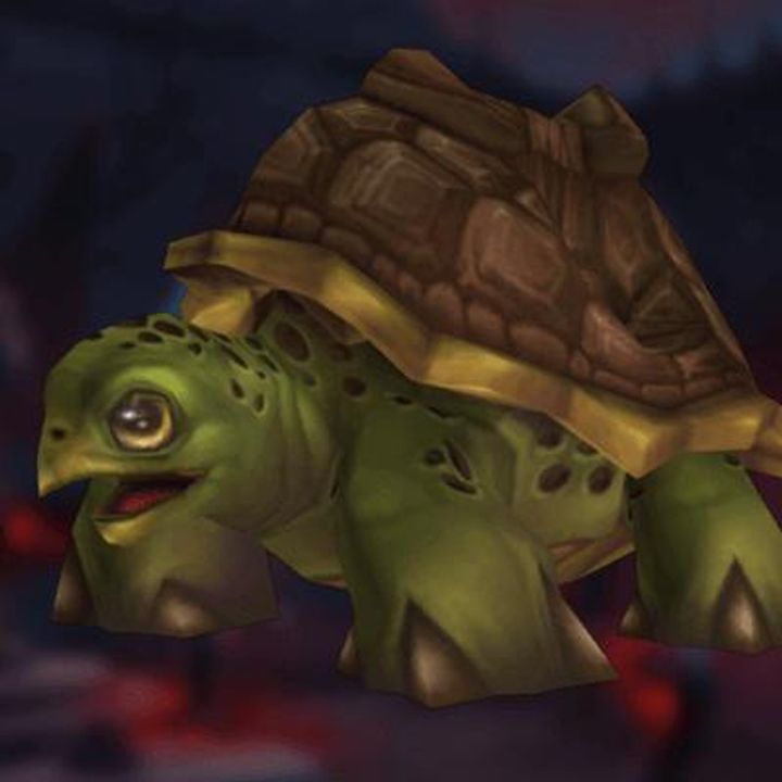 Riding Turtle Mount