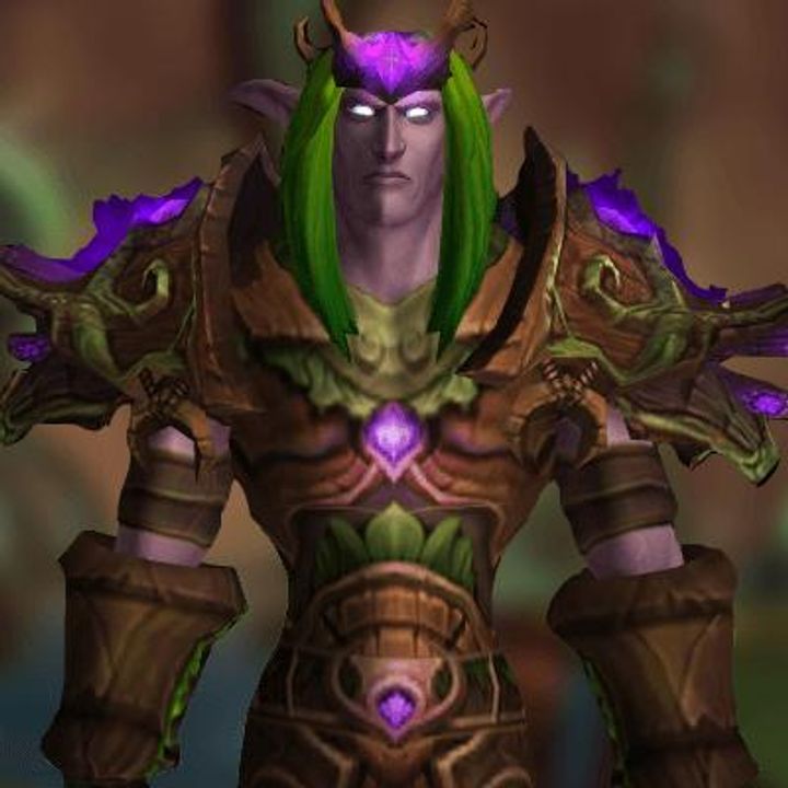 Druid Tier 5 Transmog Set - Nordrassil Raiment